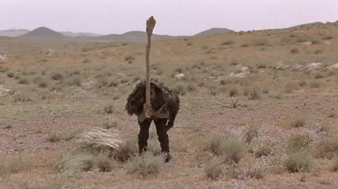 Karim wears ostrich costume