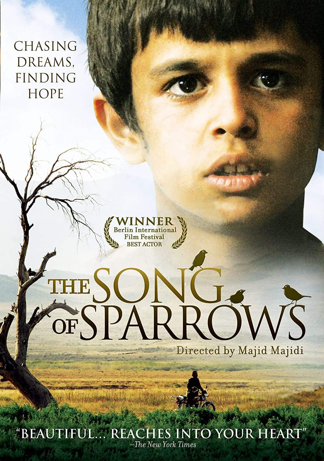 Official poster of the song of sparrow